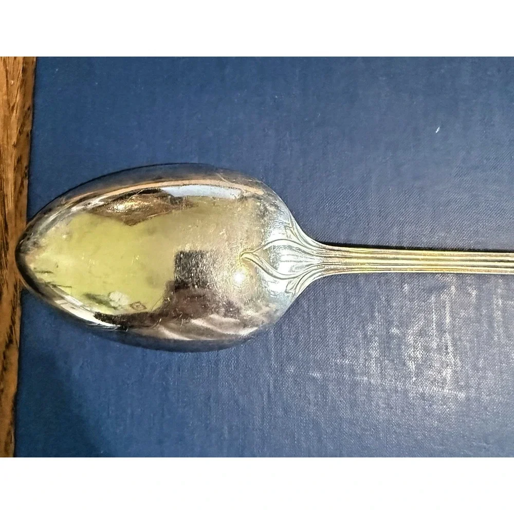 Antique Mappin Brothers Sheffield Silver Plated Serving Spoon Lilly pattern 8.75
